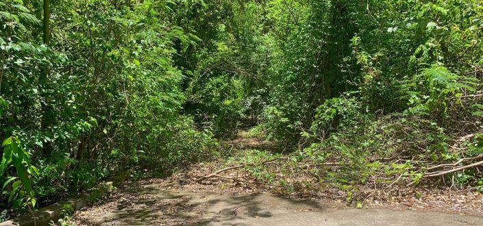 Image No.3-Property for sale