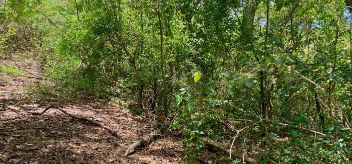 Image No.7-Property for sale