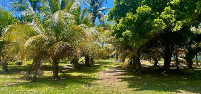 Image No.9-Property for sale