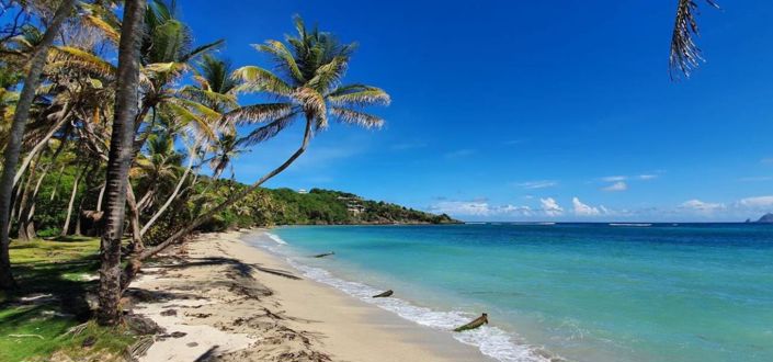 Image No.3-Property for sale