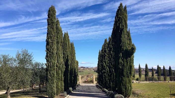 Image No.33-2 Bed Apartment for sale