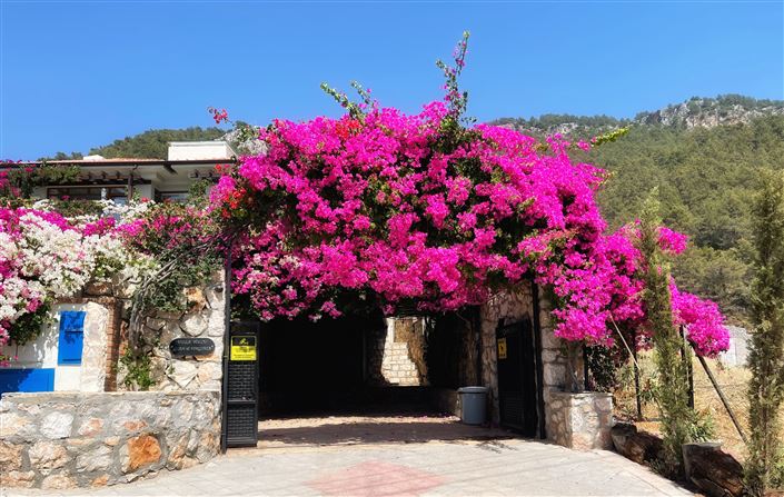 Image No.24-4 Bed Villa for sale