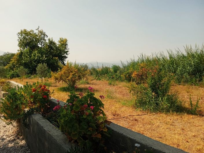 Image No.21-2 Bed Bungalow for sale