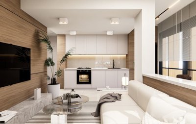 Dream Property Investments For Sale - Open-plan lounge and kitchen