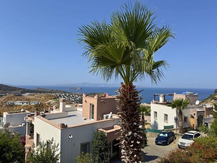 Image No.3-3 Bed Villa for sale