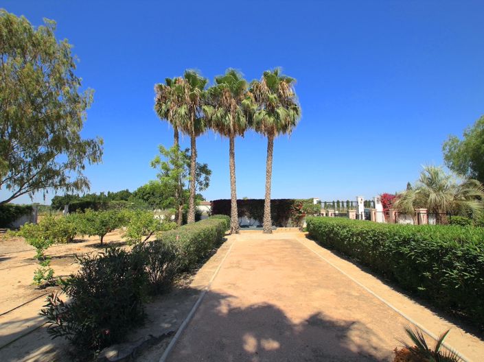 Image No.37-3 Bed Finca for sale