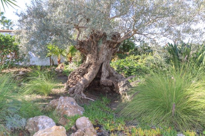 Image No.59-6 Bed Villa / Detached for sale