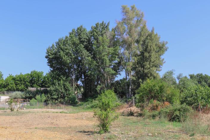 Image No.1-Plot for sale