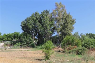 1 - Coin, Plot