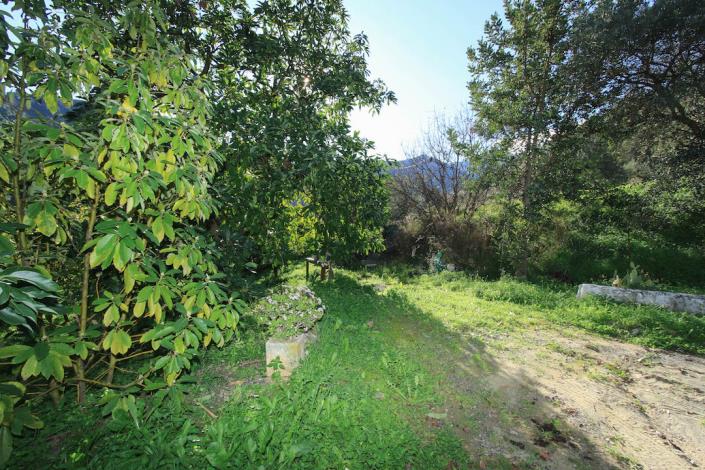 Image No.26-1 Bed Farmhouse for sale