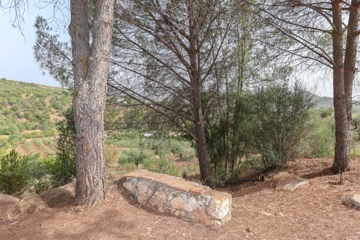 Image No.59-14 Bed Hotel for sale