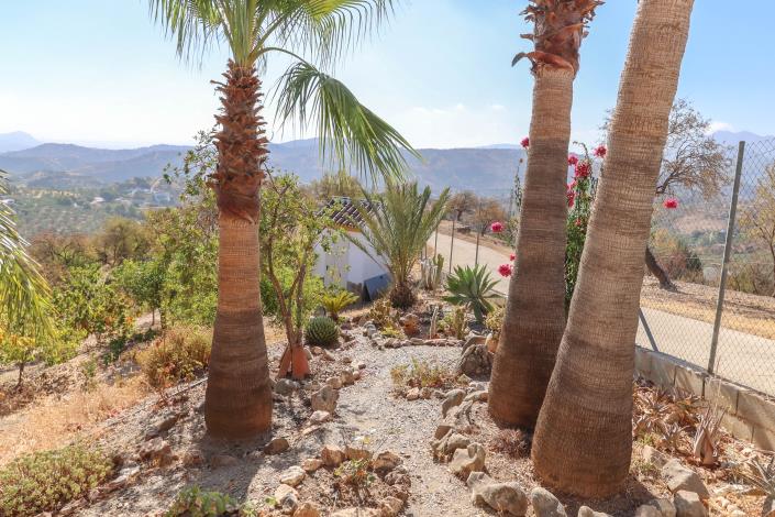 Image No.43-3 Bed Villa / Detached for sale