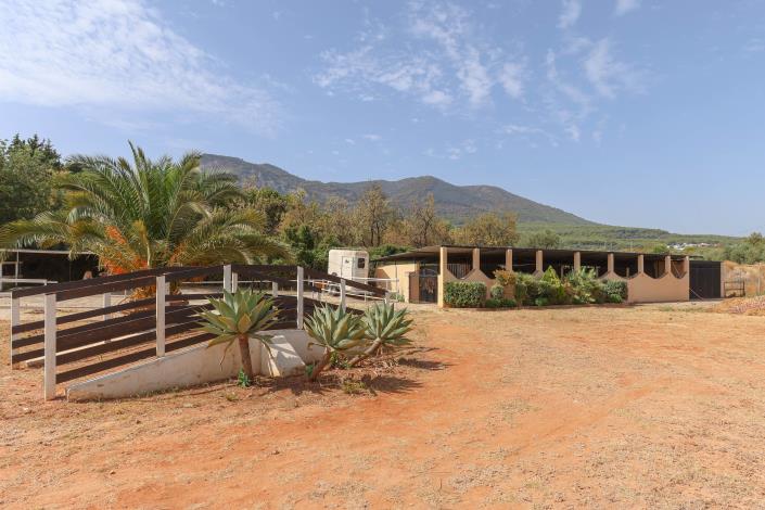 Image No.6-5 Bed Villa / Detached for sale