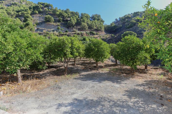 Image No.31-3 Bed Villa / Detached for sale