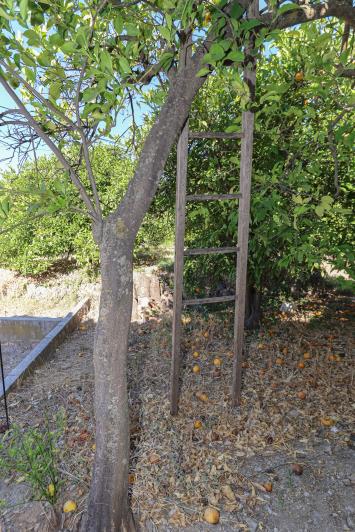 Image No.37-3 Bed Villa / Detached for sale