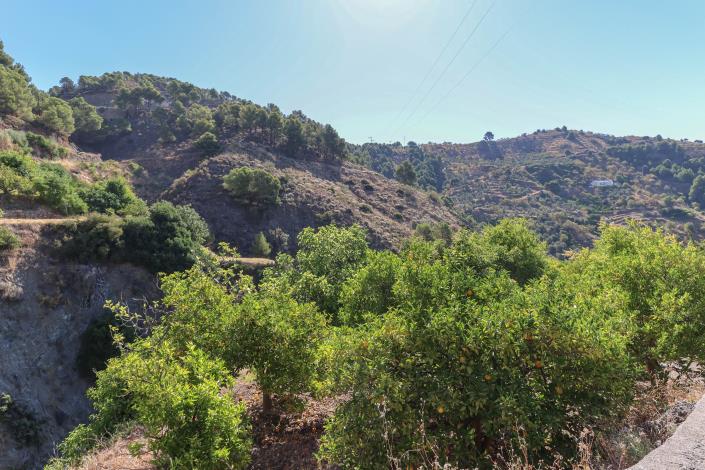 Image No.39-3 Bed Villa / Detached for sale