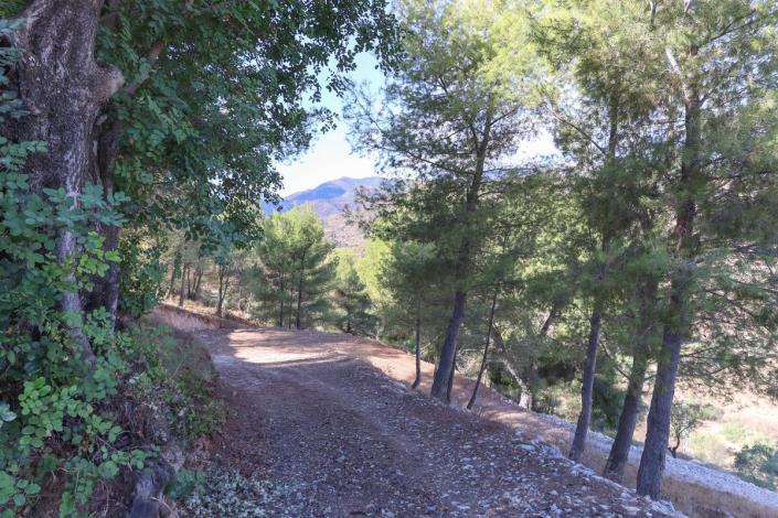 Image No.3-Land for sale