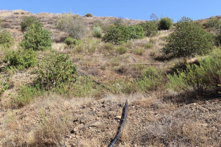 Image No.6-Land for sale