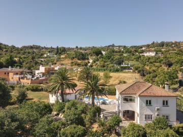 DJI_0911