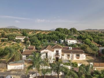 DJI_0754