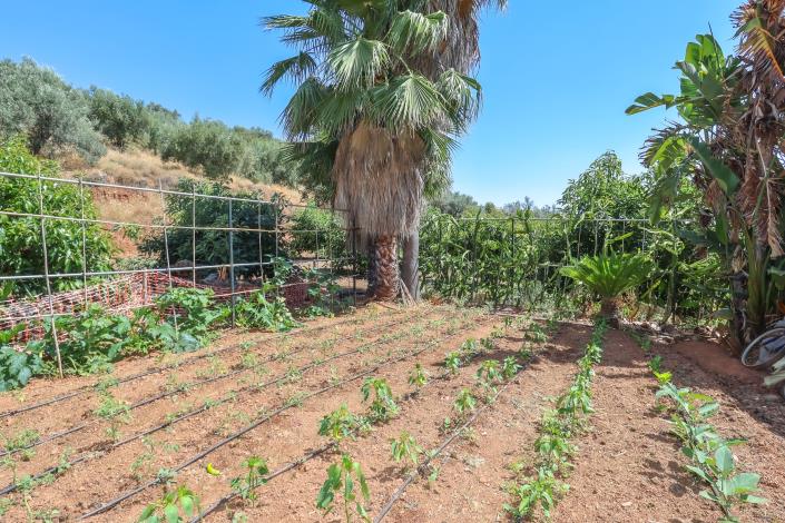 Image No.28-1 Bed Farmhouse for sale