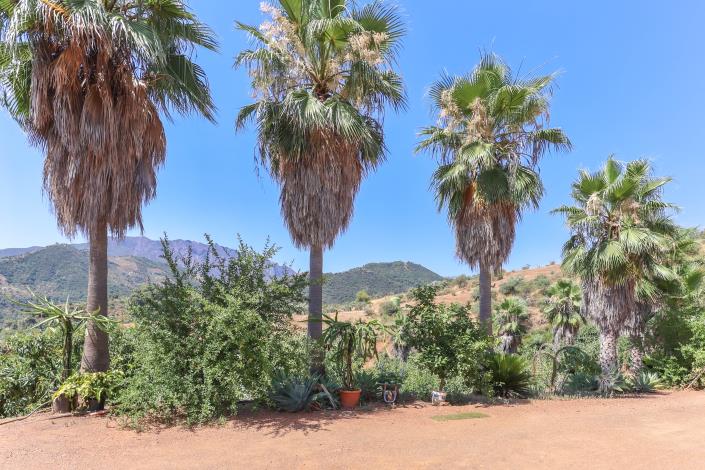 Image No.39-1 Bed Farmhouse for sale