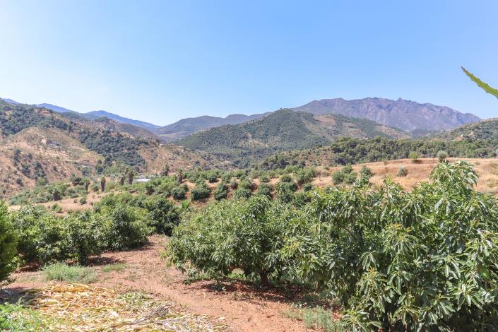 Image No.41-1 Bed Farmhouse for sale