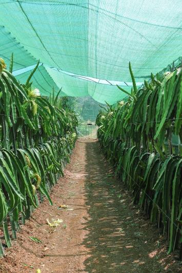 Image No.47-1 Bed Farmhouse for sale