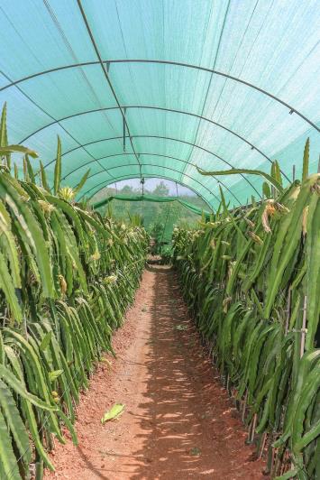 Image No.48-1 Bed Farmhouse for sale