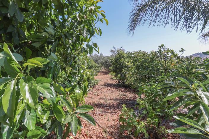 Image No.52-1 Bed Farmhouse for sale