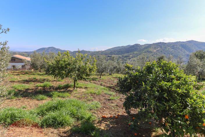 Image No.47-4 Bed Villa / Detached for sale