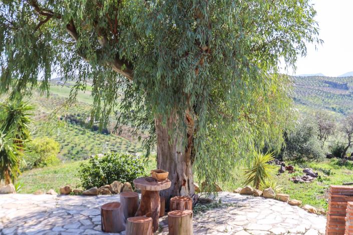 Image No.46-4 Bed Villa / Detached for sale