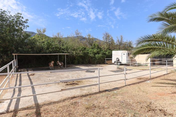 Image No.44-5 Bed Villa / Detached for sale