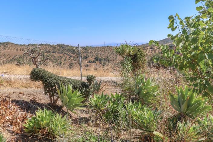 Image No.35-3 Bed Villa / Detached for sale