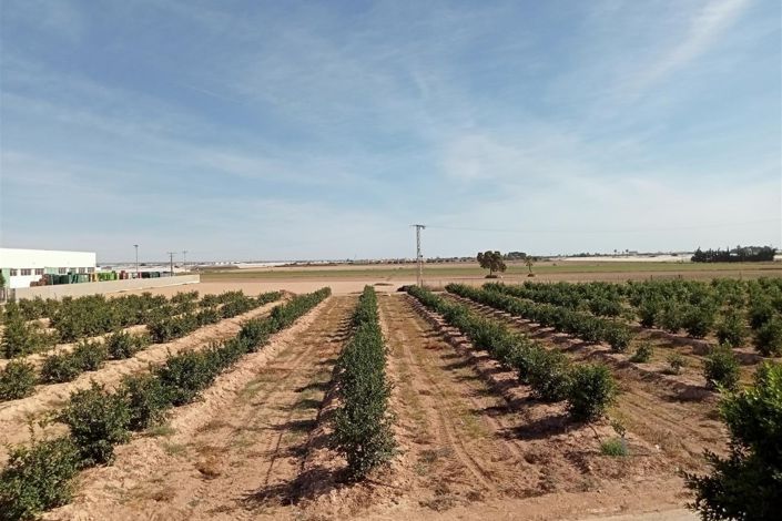 Image No.48-3 Bed Villa for sale