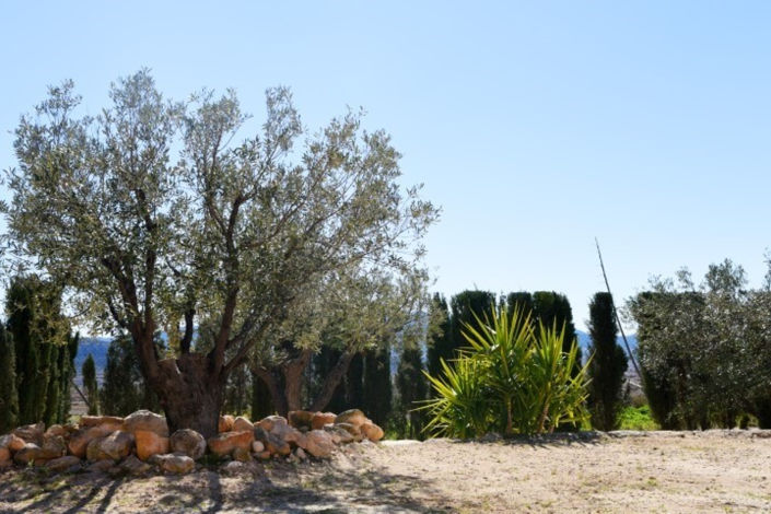 Image No.21-4 Bed Villa for sale