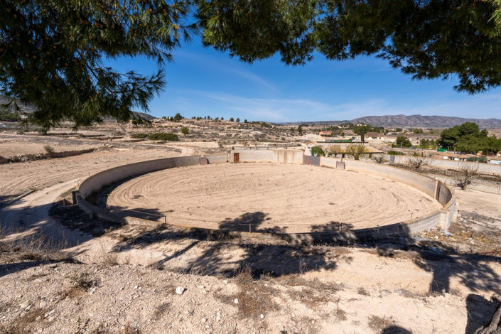 Image No.45-6 Bed Villa for sale