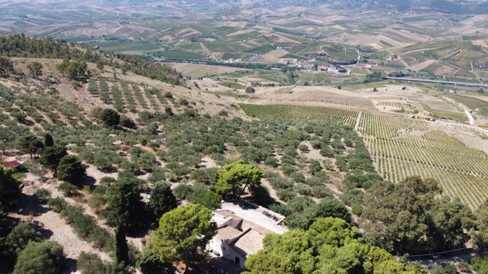 Image No.31-7 Bed Villa for sale