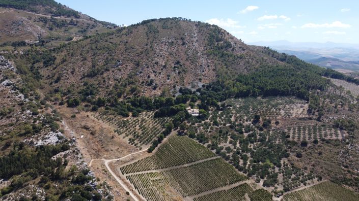 Image No.37-7 Bed Villa for sale