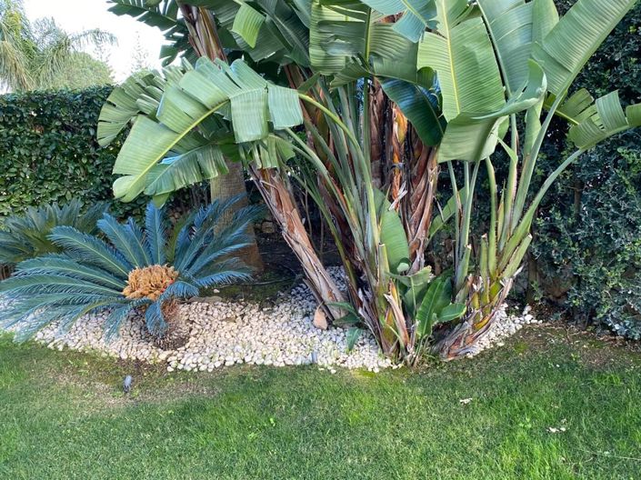 Image No.17-3 Bed Villa for sale