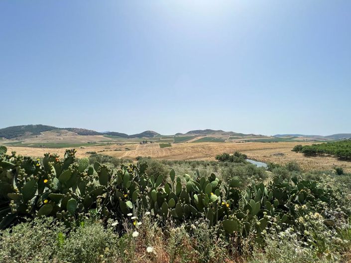 Image No.27-Villa de 3 chambres à vendre à Sicile