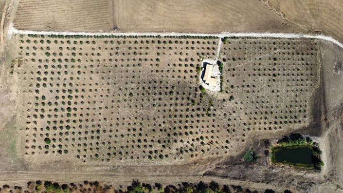 Image No.28-Villa de 3 chambres à vendre à Sicile