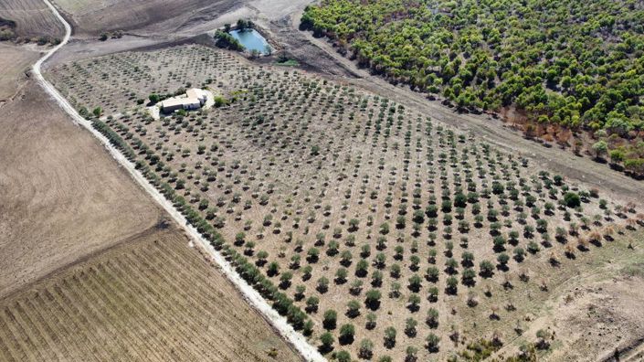 Image No.29-Villa de 3 chambres à vendre à Sicile
