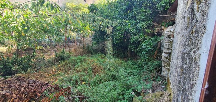 Image No.12-2 Bed House for sale