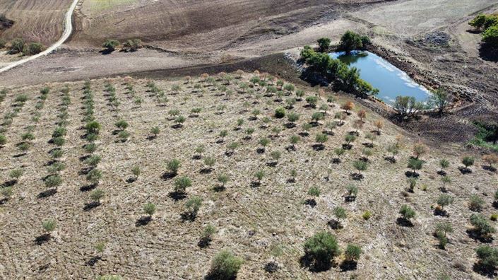 Image No.2-3 Bed Villa for sale