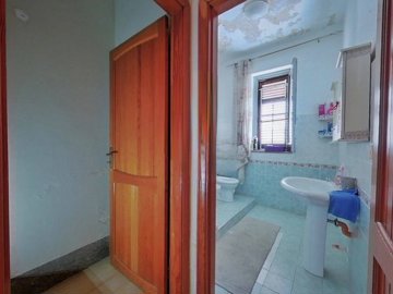 alpdnlterrrmx1009-15