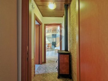 alpdnlterrrmx1006-34