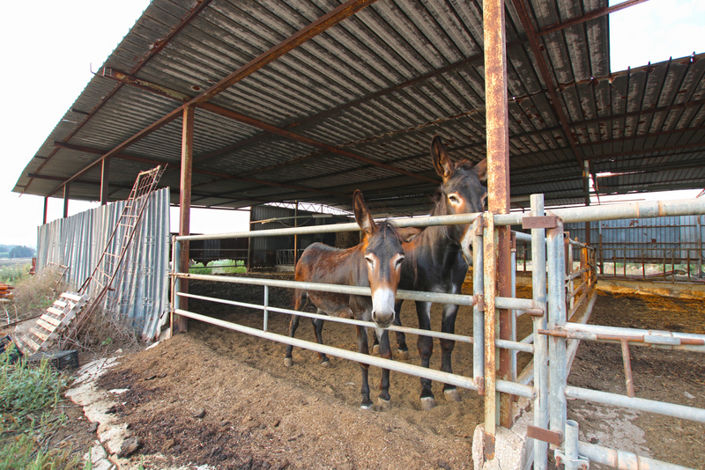 Image No.35-8 Bed House for sale