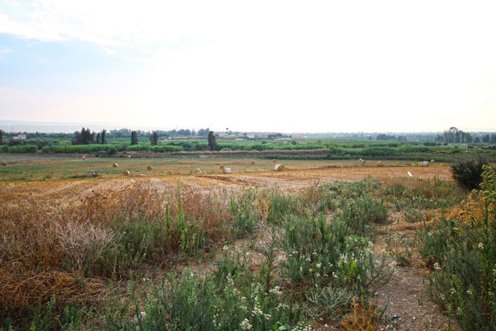 Image No.37-8 Bed House for sale