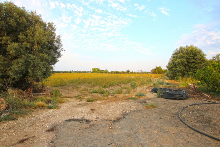 Image No.40-8 Bed House for sale